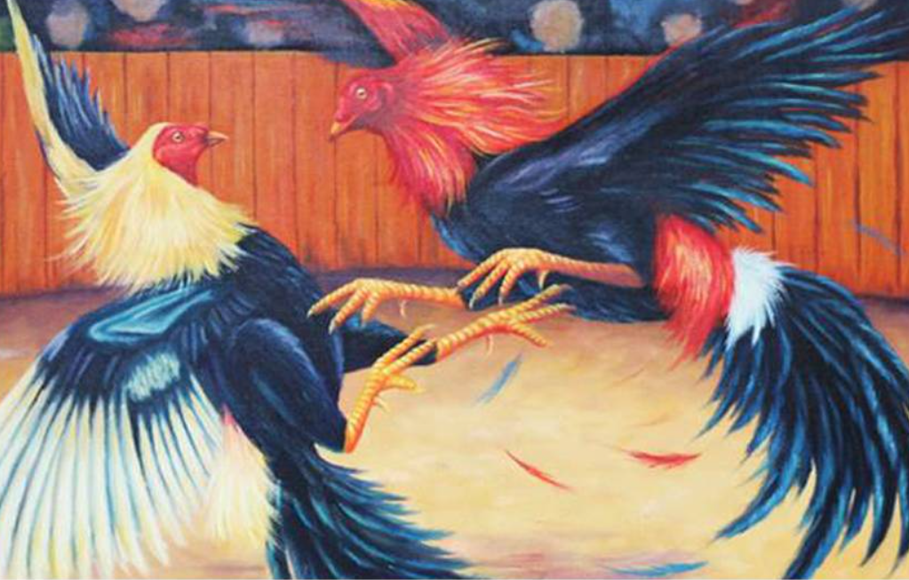 Estilos De Lucha Que Tienen Los Gallos De Pelea