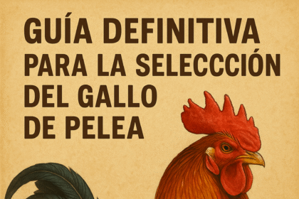 Guía Definitiva Para La Selección Del Gallo De Pelea