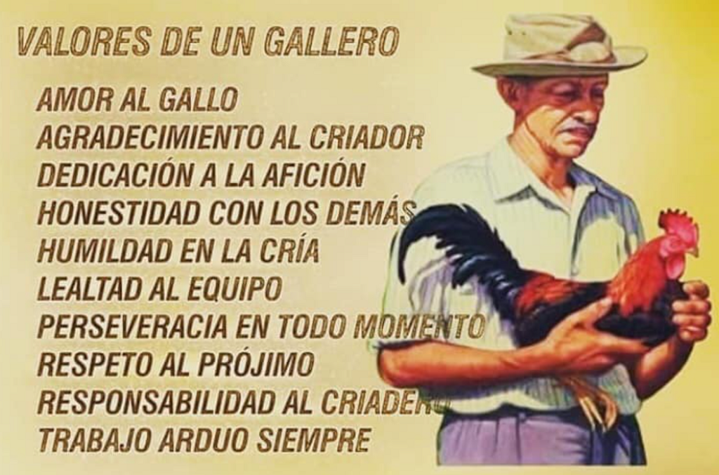 Gallos Finos Forman Parte Particular De Aves Domésticas 1