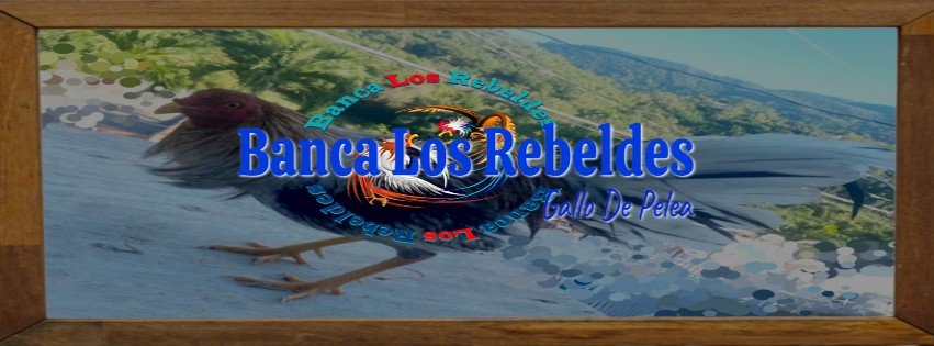 Historia De Banca Los Rebeldes Tradición Familiar 3