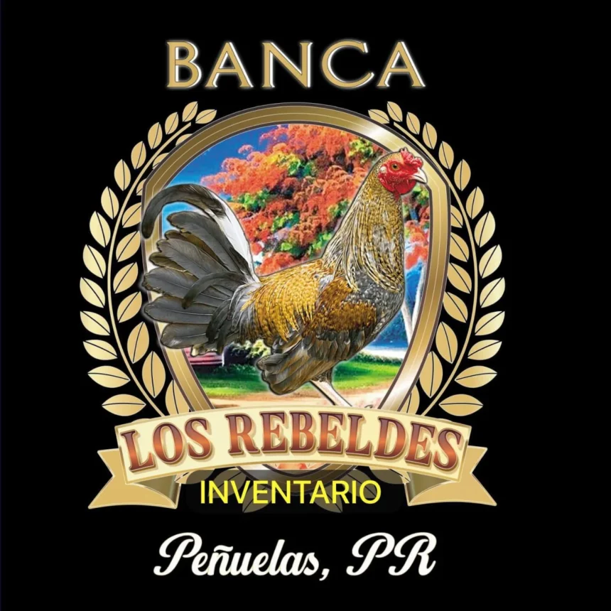 Desde la Casa de los Rebeldes ()