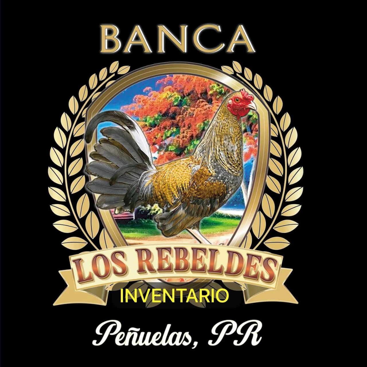 Desde la Casa de los Rebeldes ()