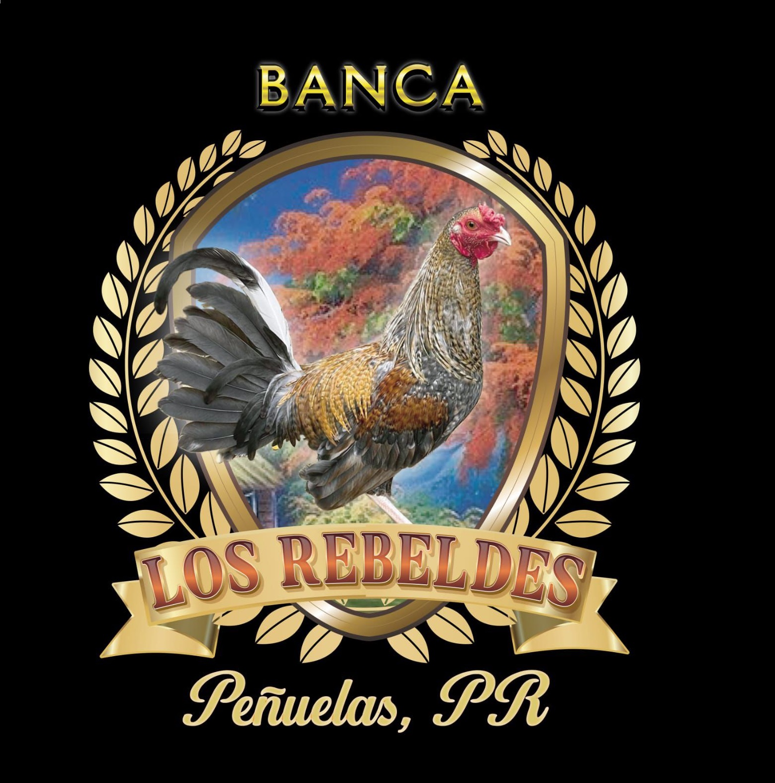Quieres Saber Mas de Nosotros